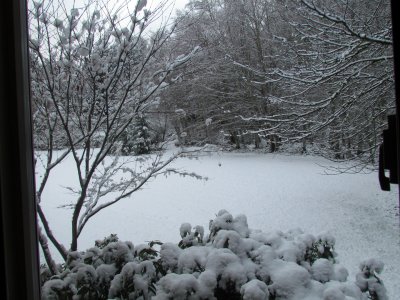 Snow January 2011