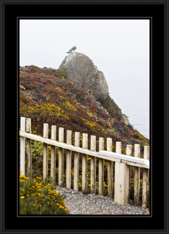 Photo taken at Pidgeon Point