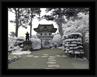 Japanese Tea Gardens (infrared)