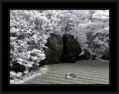 Japanese Tea Gardens (infrared)