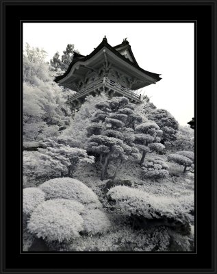 Japanese Tea Gardens (infrared)