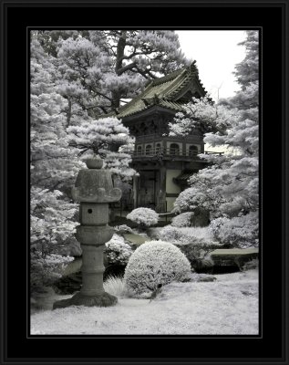 Japanese Tea Gardens (infrared)