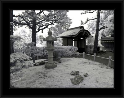 Japanese Tea Gardens (infrared)