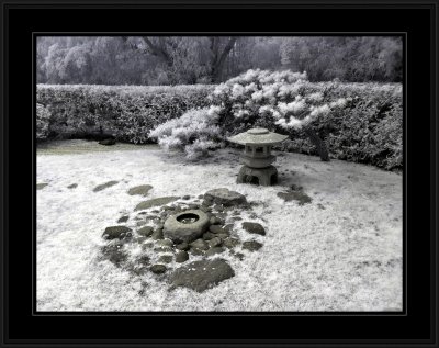 Japanese Tea Gardens (infrared)