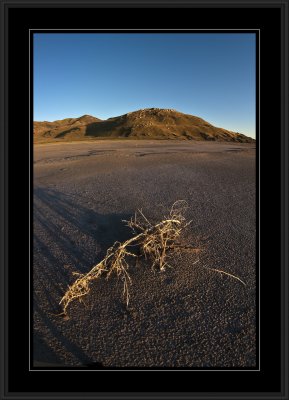 Antelope Island