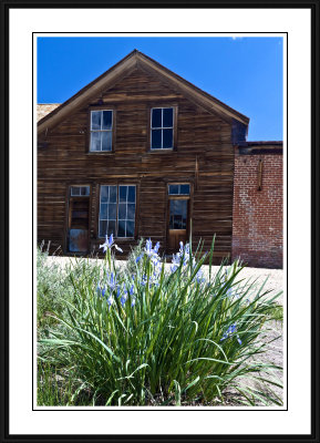 Bodie State Park