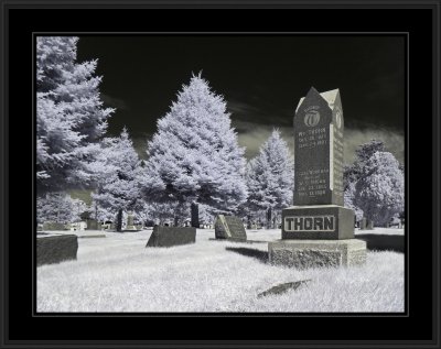 Infrared - SLC cemetery