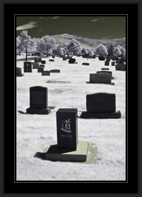 Infrared - SLC cemetery
