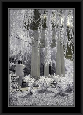 Infrared - Memory Grove Park
