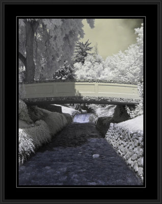 Infrared - Memory Grove Park