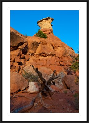 Southwest: Canyons of the Ancients