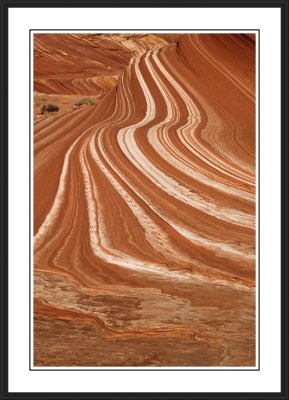 North Coyote Buttes Area