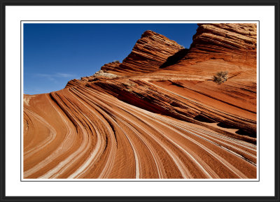 North Coyote Buttes Area