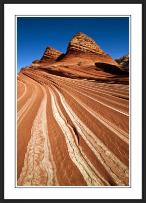 North Coyote Buttes Area