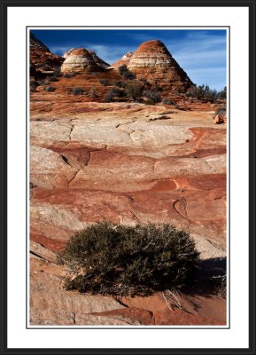 North Coyote Buttes Area