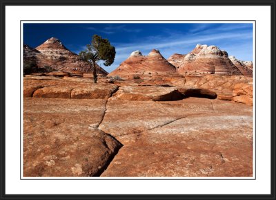 North Coyote Buttes Area