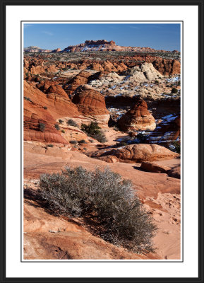 North Coyote Buttes Area