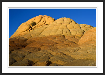 North Coyote Buttes Area