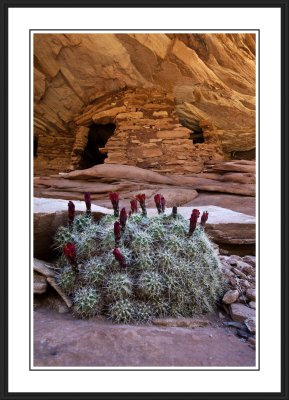 Southwest: Cedar Mesa Area