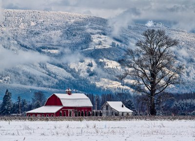 Snowy Skagit morning