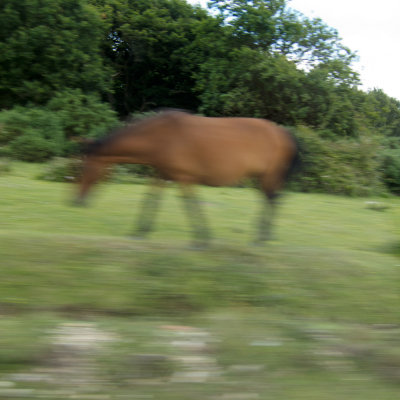 Glimpses from the Road