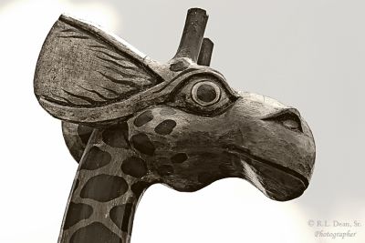 the Wooden Longneck