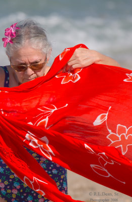 Red in the Wind