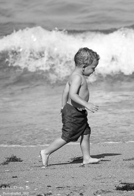 Beach Boy