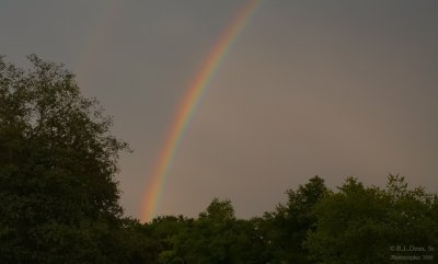 My Backyard Series... Rainbow