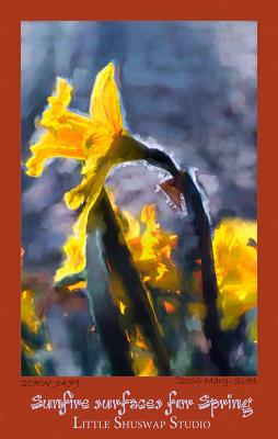 Sunfire-Daffodil_3479.jpg