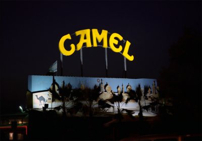 CAMEL