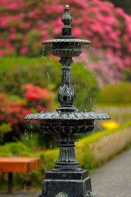 Botanic Garden: Fountain