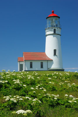 Cape Blanco Lighthouse #1