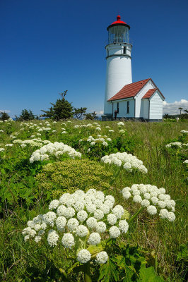 Cape Blanco Lighthouse #2