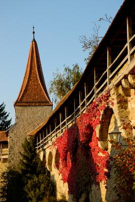 Old City Wall and Tower