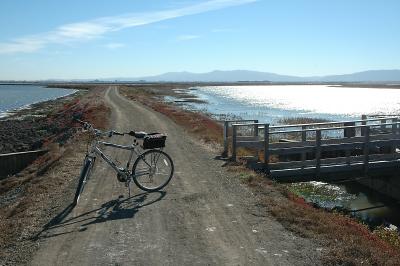 Four miles into the ride.