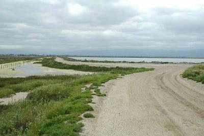 Another view of the trail