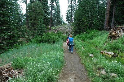 Rancheria Falls Trail