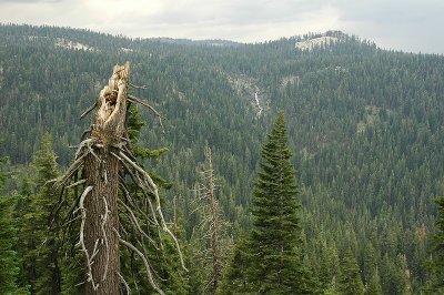 Black Butte and Rancheria Falls