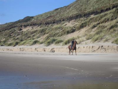 Beach at Ballyvaloo