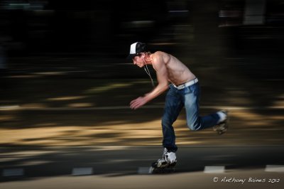 Skater in Hyde Park