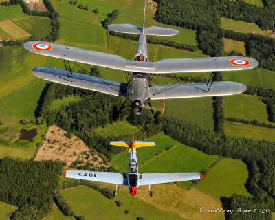 Stampe and Chipmunk