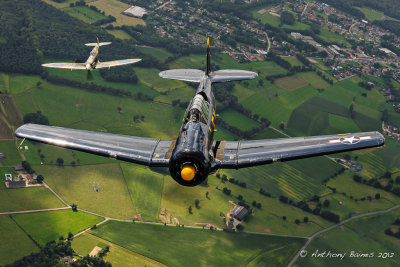 Texan and Spitfire