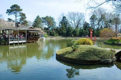 Brooklyn Botanic Garden Pond