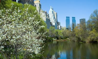 Pond to Central Park South