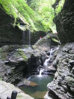 IMG_3672.jpg