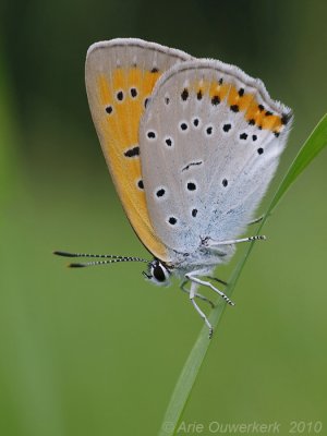 g4/08/586108/3/136542668.zsypiGhW.jpg