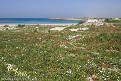 Nahsholim, Mediterranean coast