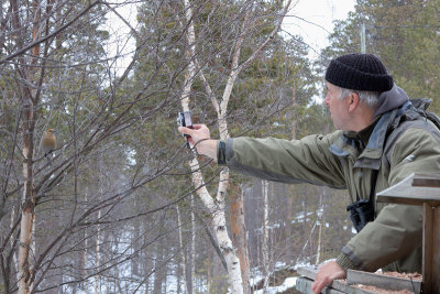 Me photographing female Pine Grosbeak with compact camera