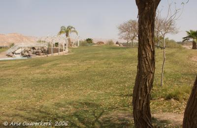 g4/08/586108/3/59132280.lotan.lotan.pbase3.2.jpg